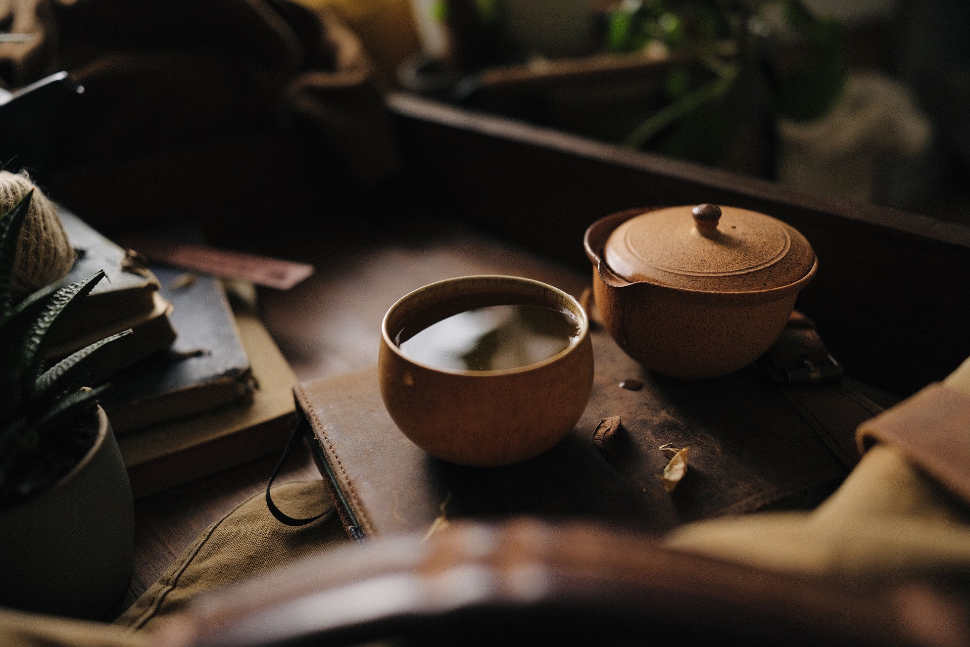Psiloybin Tea